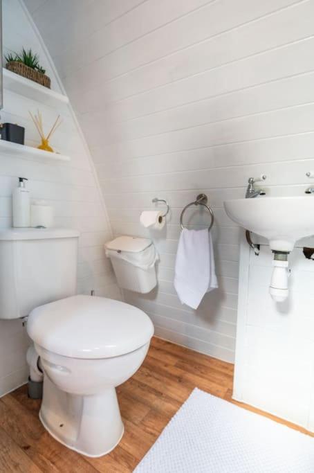 Callington Robin Nest - Cosy Shepherd'S Hut Hideaway מראה חיצוני תמונה