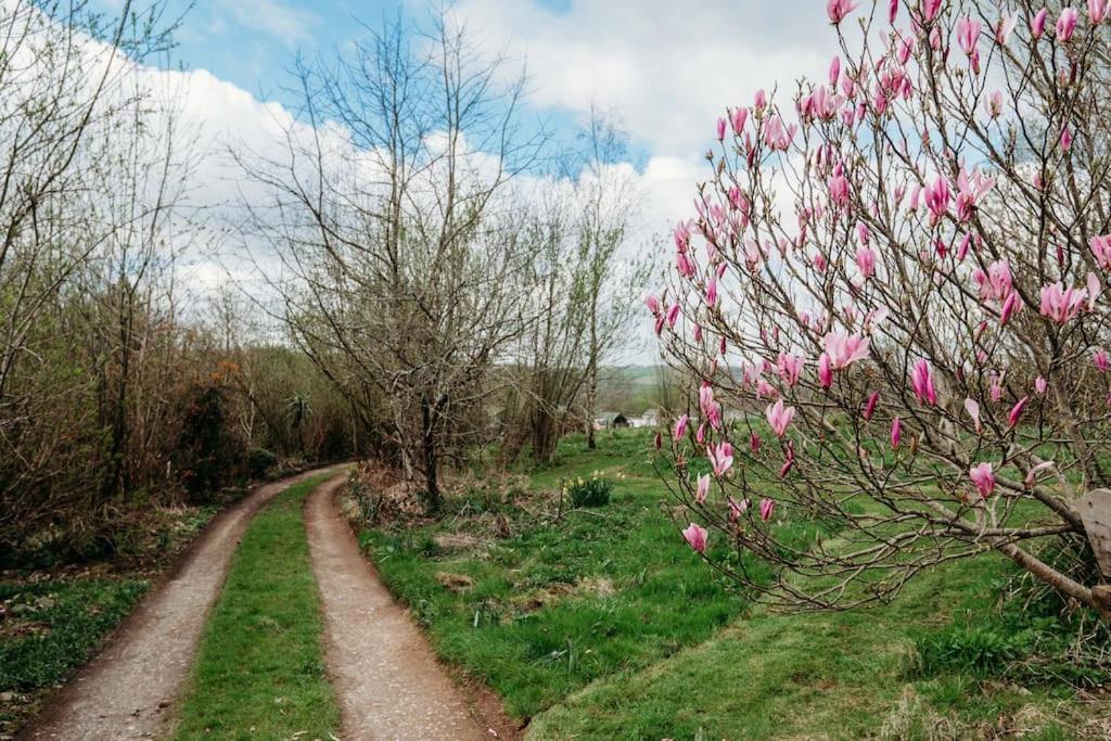 Callington Robin Nest - Cosy Shepherd'S Hut Hideaway מראה חיצוני תמונה